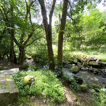 Chalet Le Montagnard En Bois La Bresse