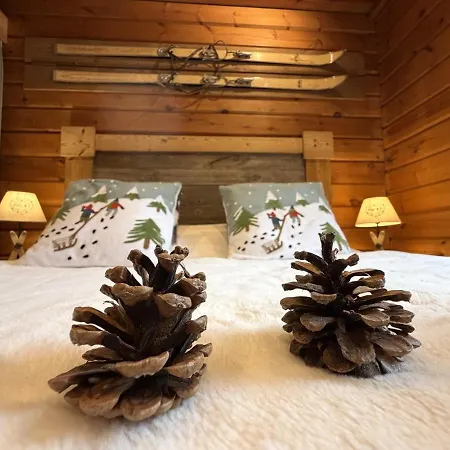 Le Montagnard En Bois Horská chata