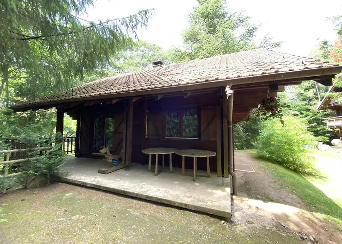 Le Montagnard En Bois La Bresse