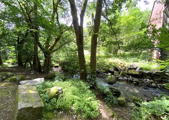 Horská chata Le Montagnard En Bois La Bresse