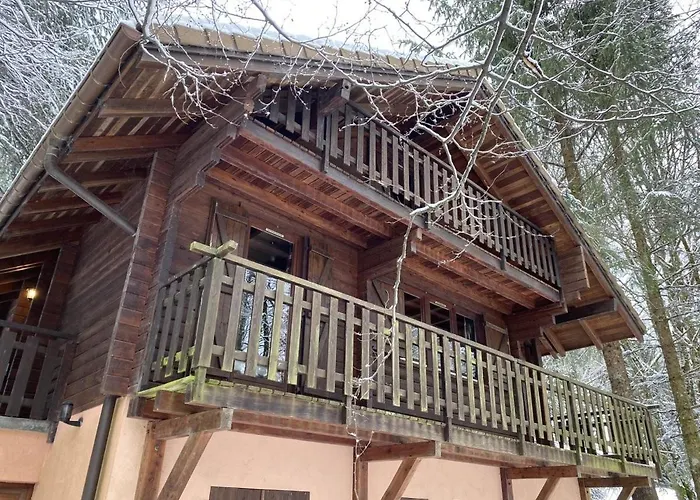 Le Montagnard En Bois La Bresse