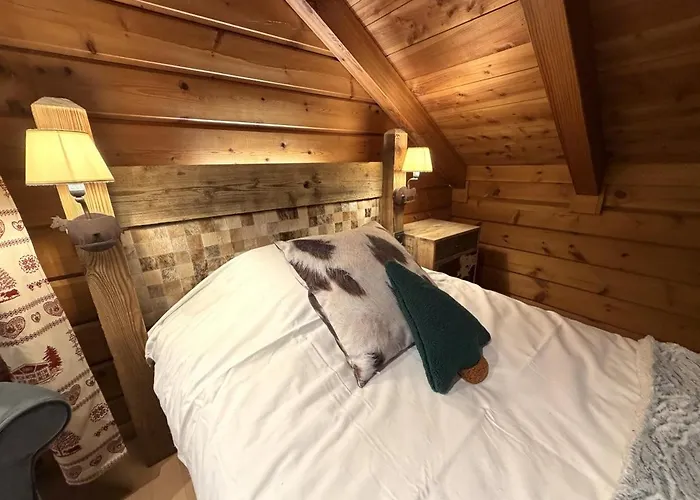 Le Montagnard En Bois La Bresse