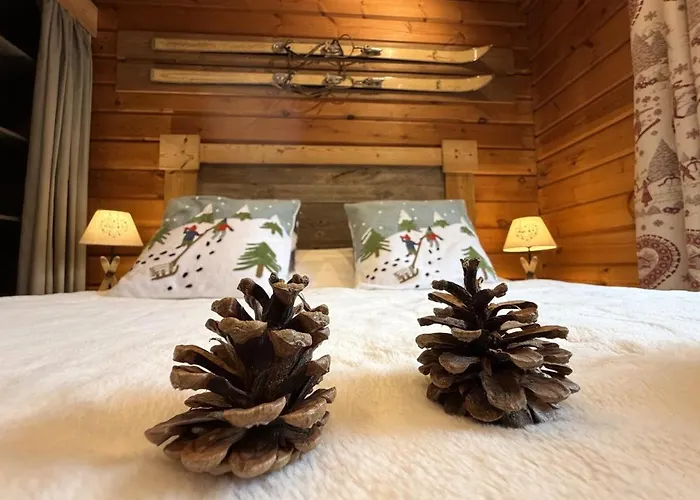 Le Montagnard En Bois Horská chata